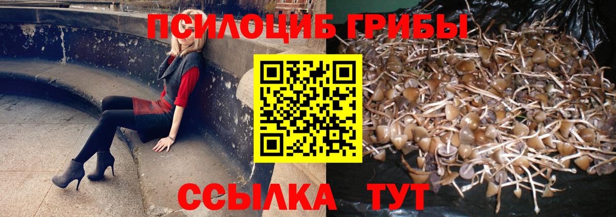 Галлюциногенные грибы Magic Shrooms Луга